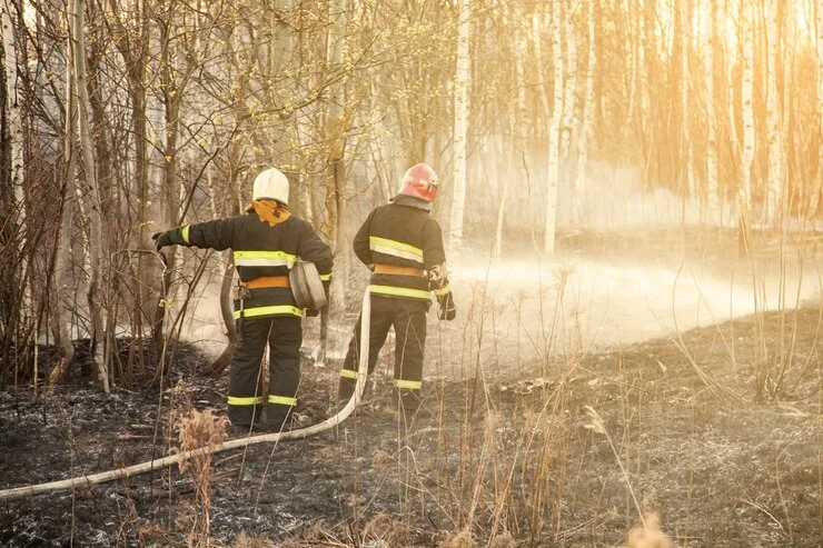 Imagem ilustrativa de Treinamento de brigada contra incêndio